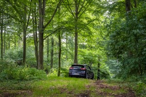 An EV, electric vehicle, parked in an amazing lush green forest in Soderasen national park, Scania southern Sweden. Woodland photo